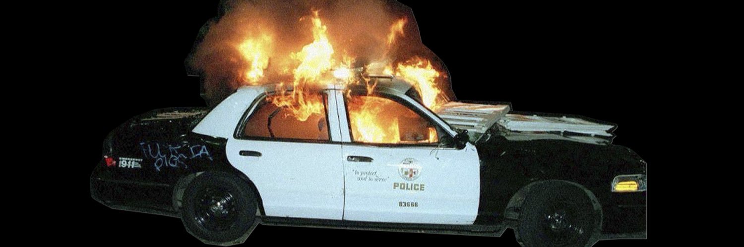 dexterfizz.net banner