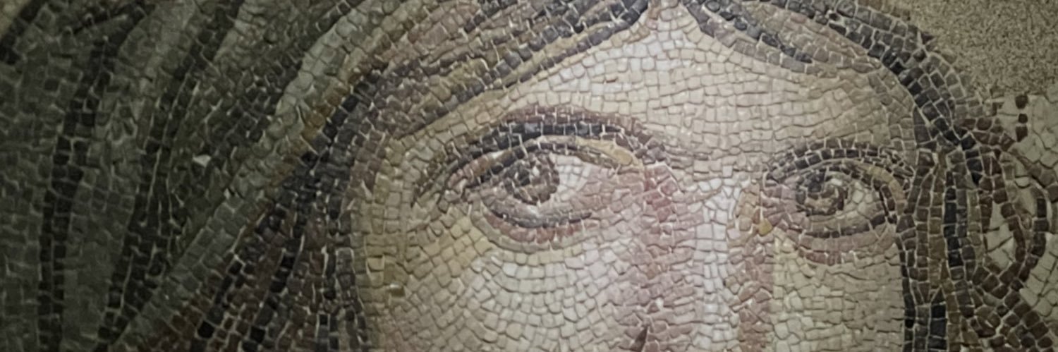 troas_'s profile banner image