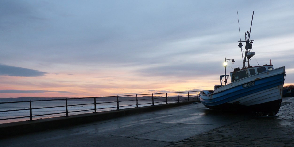Filey Flora & Fauna banner