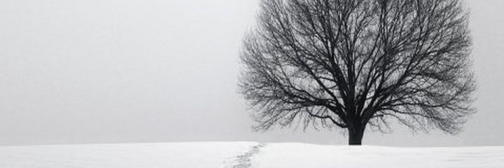danielandrade_g's profile banner image
