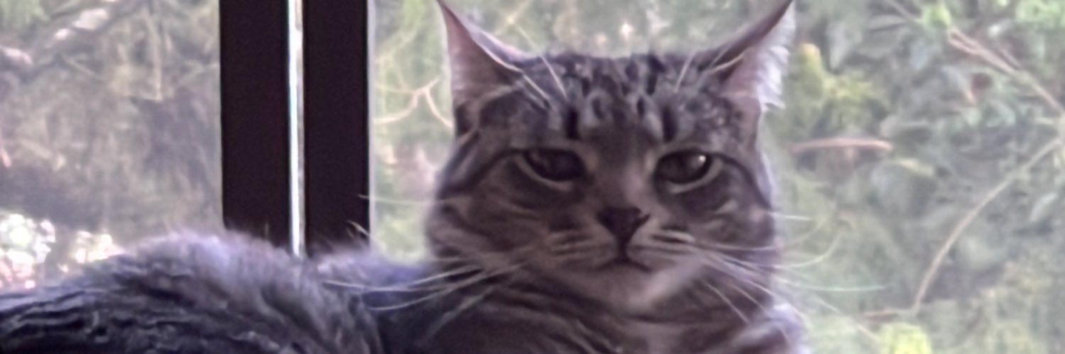 - banner