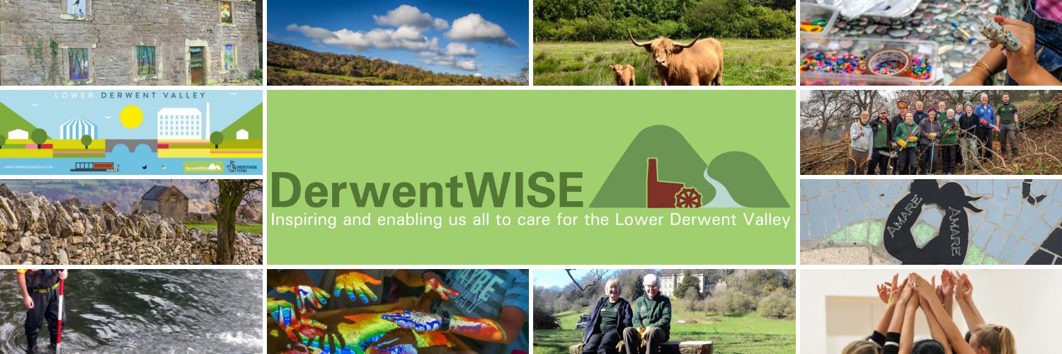 DerwentWISE banner
