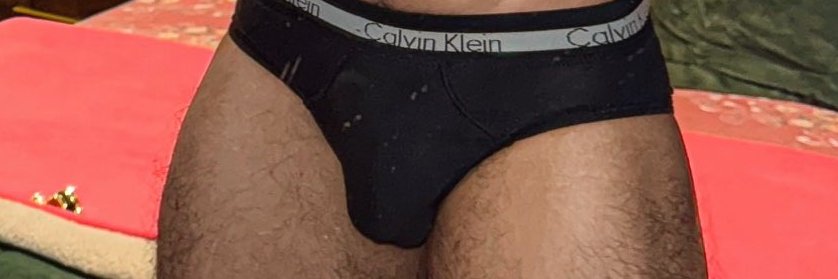 Javier salgado banner