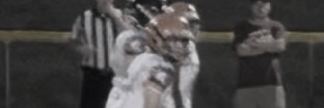 Brayden Sedgwick banner