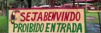 daila banner