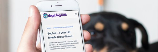 DogsBlog Profile Banner