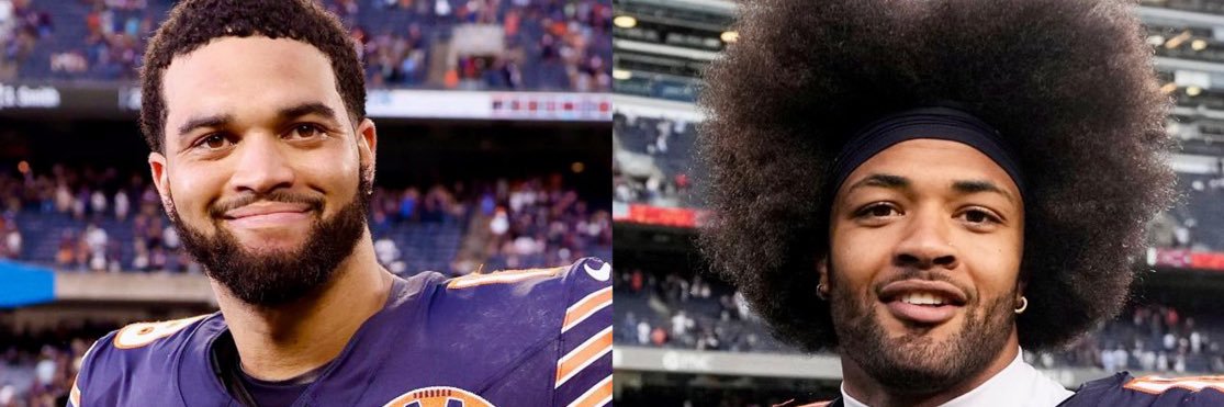 BearsShowYo banner