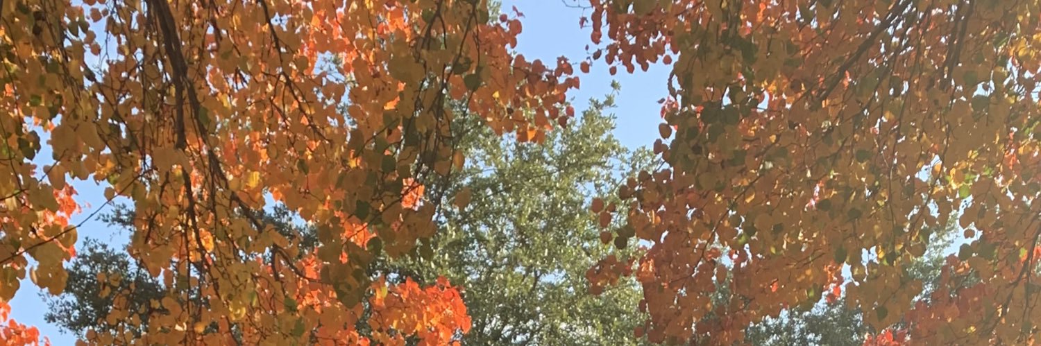 yeahitssierra's profile banner image