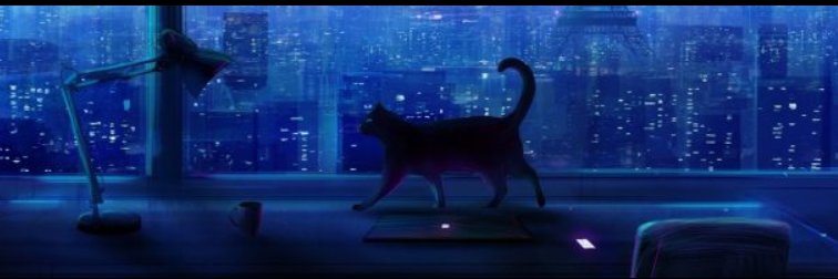 mohbaboo's profile banner image