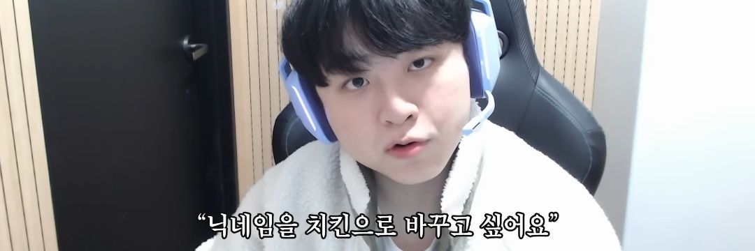 삐약 banner