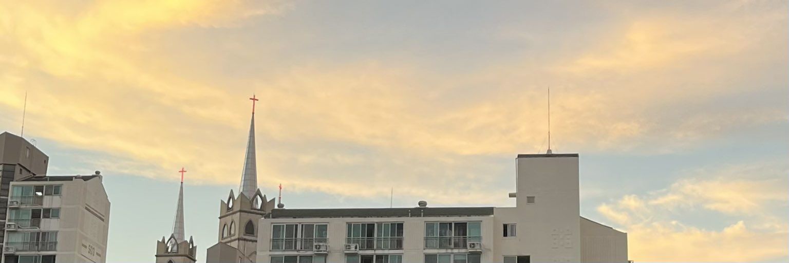 满天星 banner