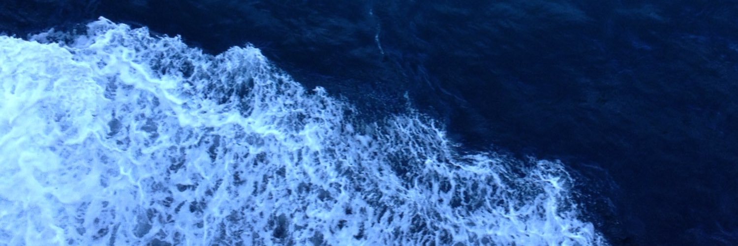 FlossLookingOut's profile banner image