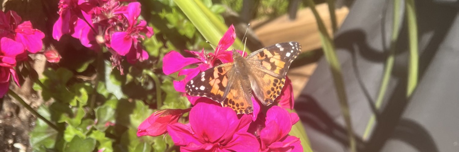 Murphy,Ashley banner