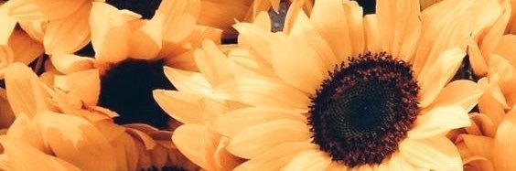 carmen banner