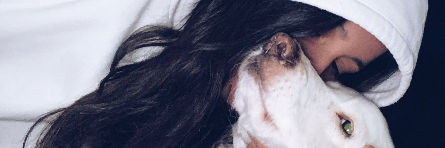 camila banner