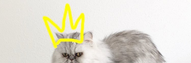 cosmospleen's profile banner image