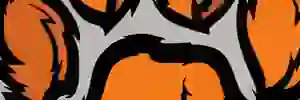 LjsMathias's profile banner image