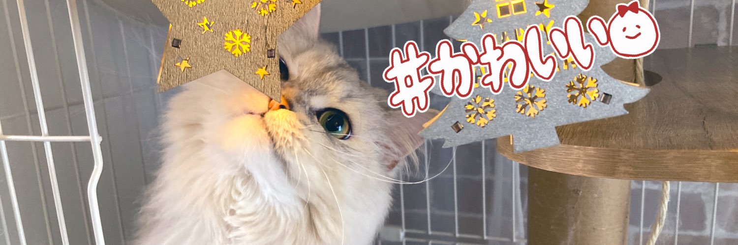 藤原むんꪔ̤̮ banner