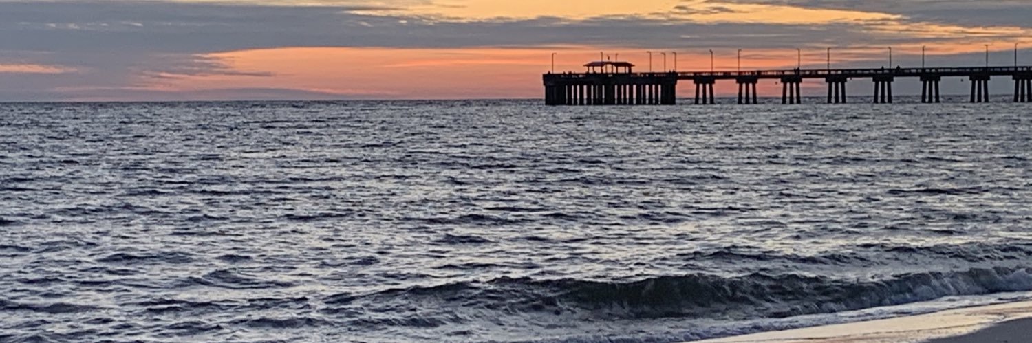 Brandi Foster banner