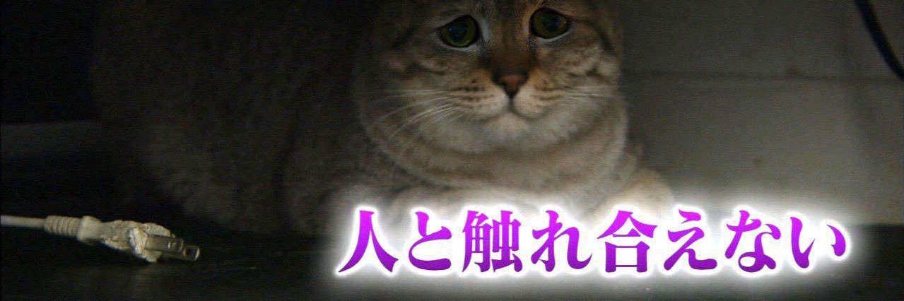 Unemployed5963's profile banner image