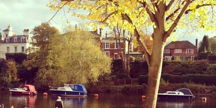 Indie_Chester's profile banner image
