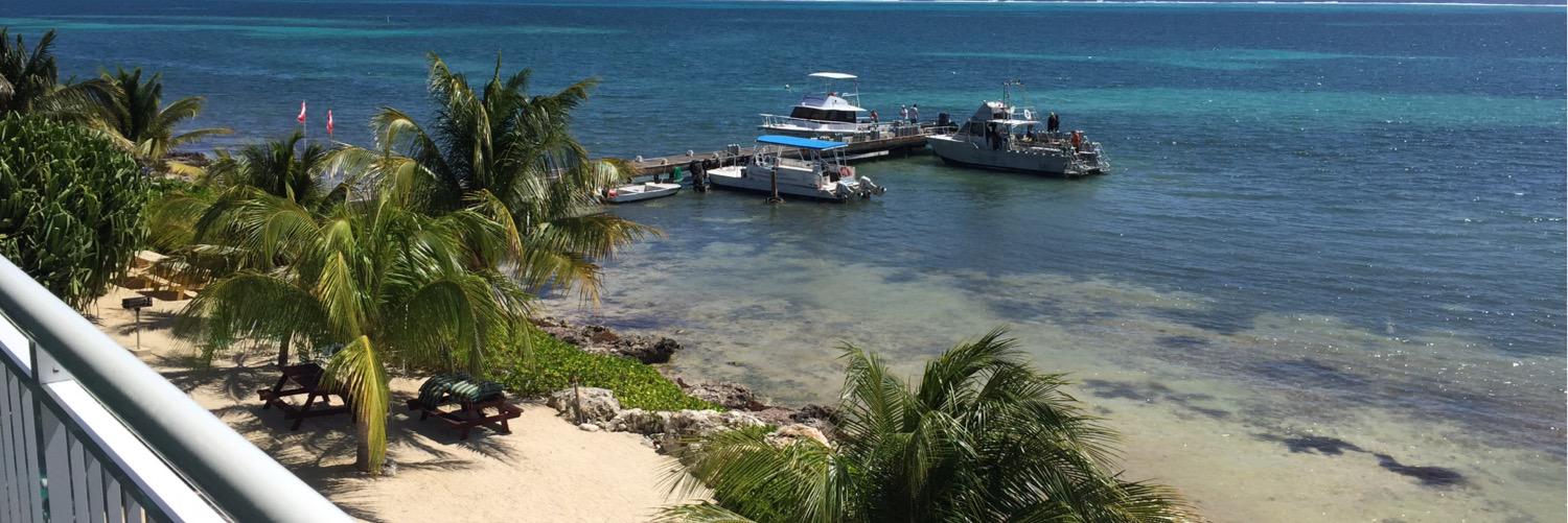 Dr. Russell Quaglia banner