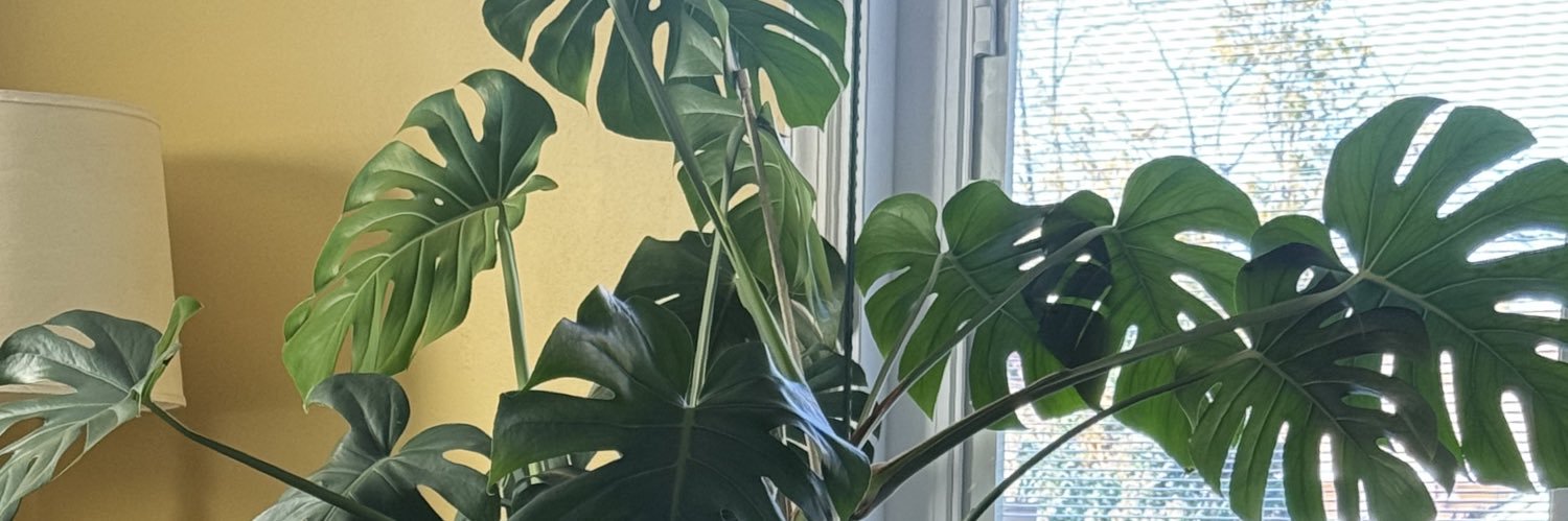 BPPLZ's profile banner image