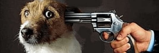 THMAGP's profile banner image