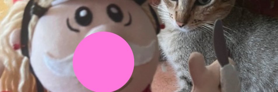 melimelitos's profile banner image