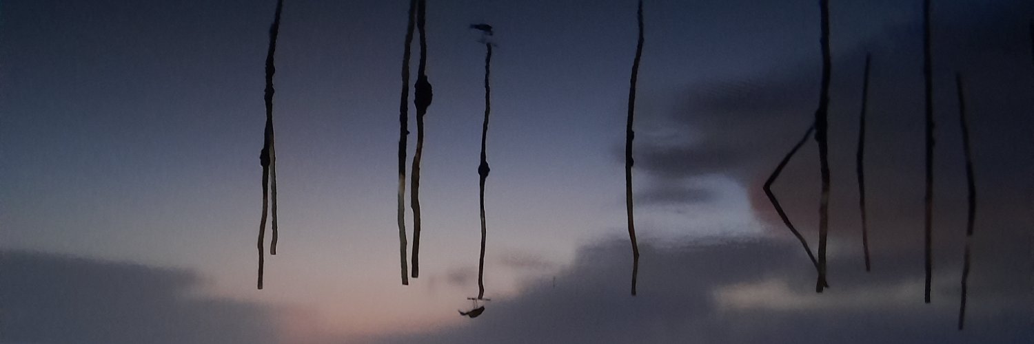AlejandroJ41605's profile banner image