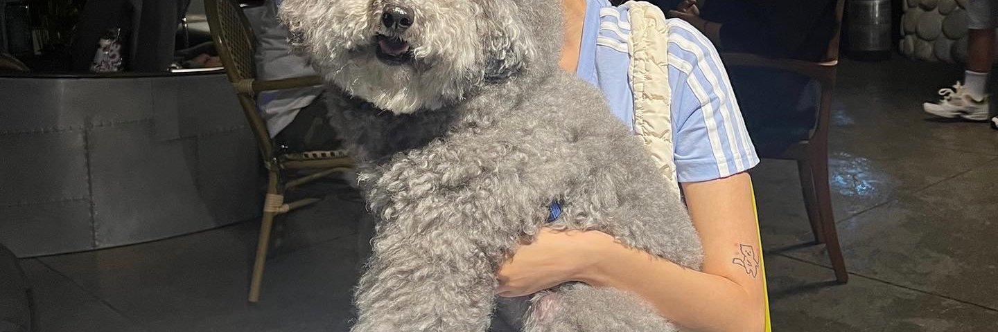 Brittany Joye banner