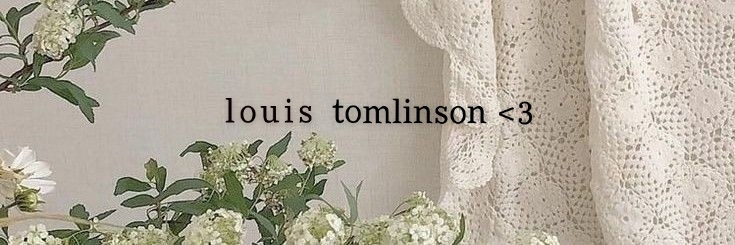 Lisa ☆ al&j banner