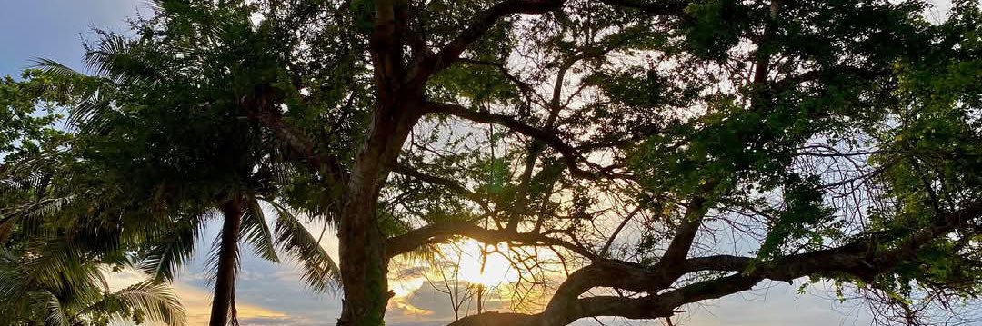 เมียชอบสวิง (คู่แท้) banner