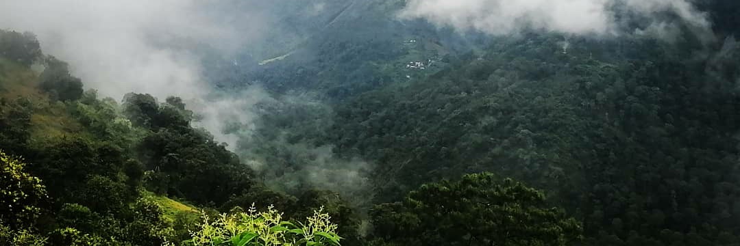 Je_ha_'s profile banner image