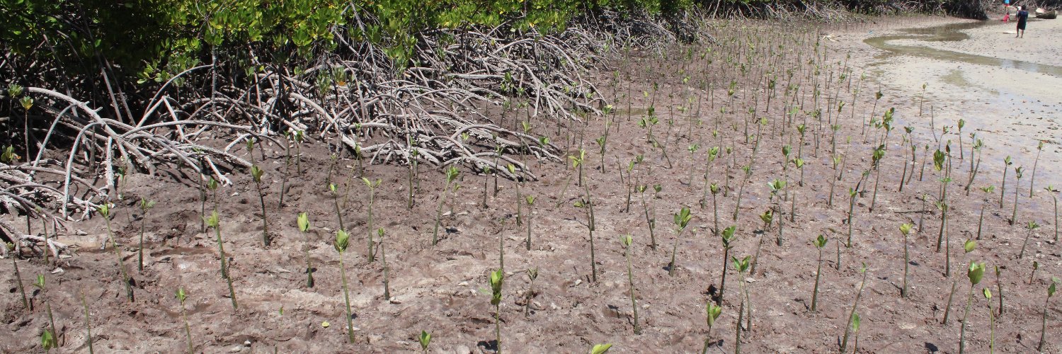 Community Based Environmental Conservation (COBEC) banner