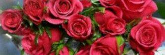 mailismail6349's profile banner image