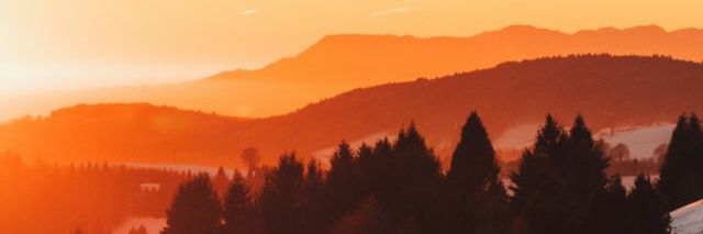 Aloncelott's profile banner image
