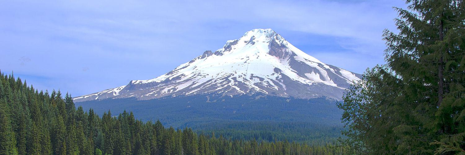 INDEPENDENT PARTY OF OREGON banner