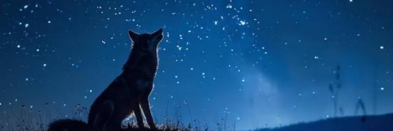 月見て一発 banner