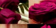 Hoor2014's profile banner image