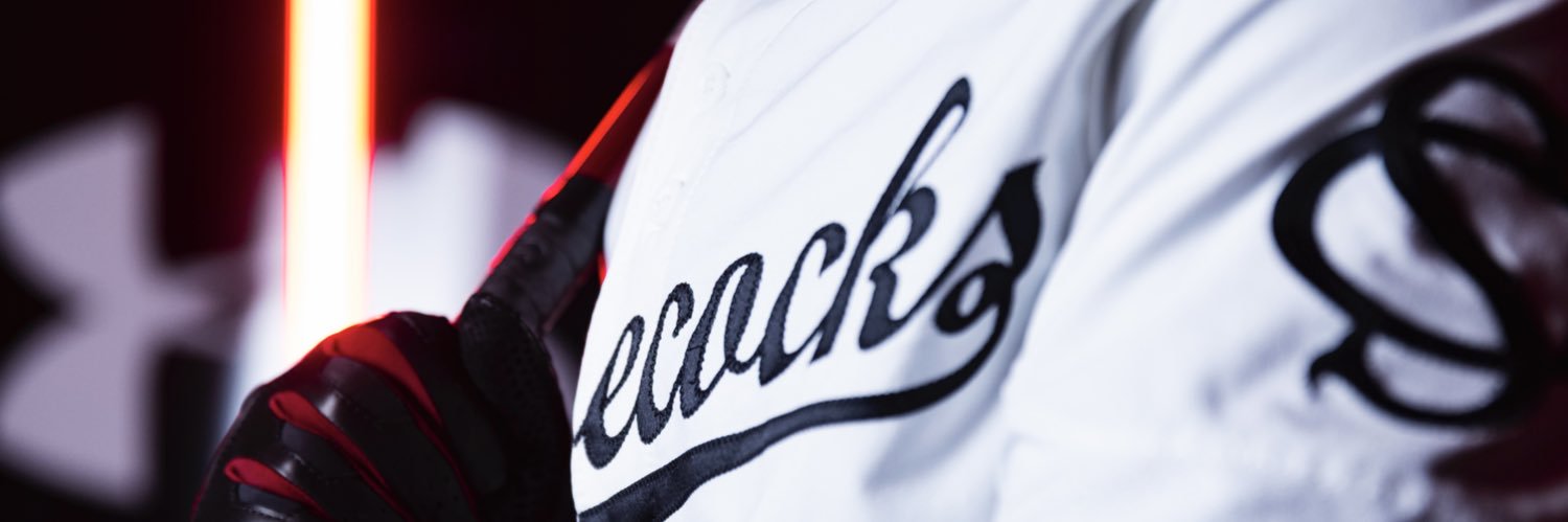 SC Baseball Equip's banner
