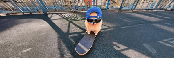 Kori The Pom's banner