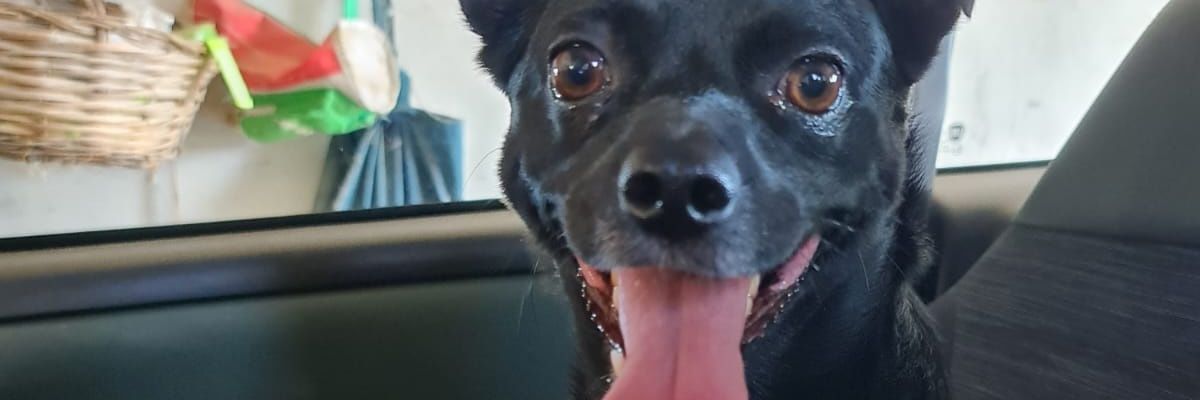 Mrtwoo0's profile banner image
