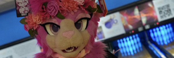 AGayPinkCat Profile Banner