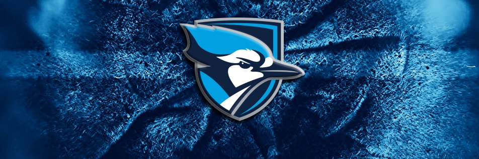 Dr. Glen Brittich banner