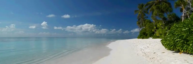 Taveuni's profile banner image
