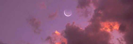 🐙✨ banner
