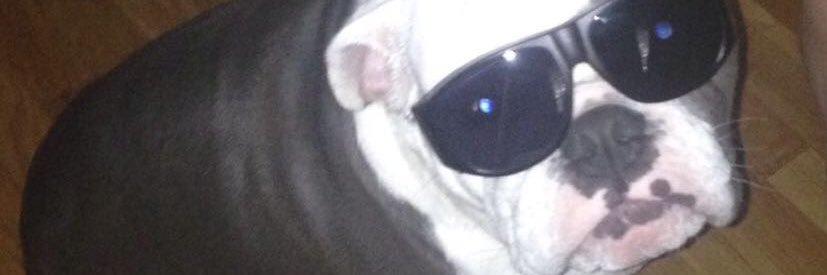 LIL_MANDZ's profile banner image