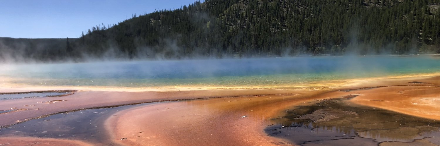 Nathaniel Harding banner