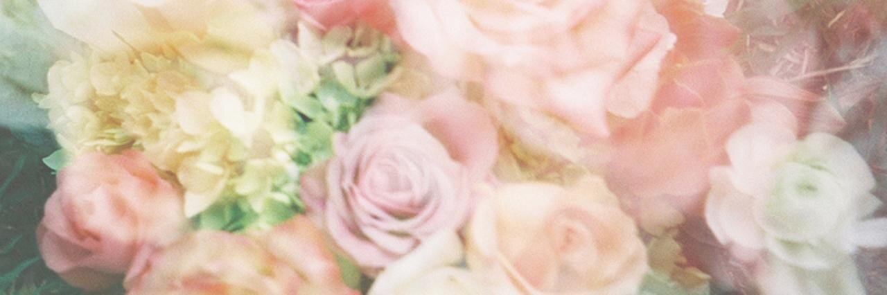 kiley banner